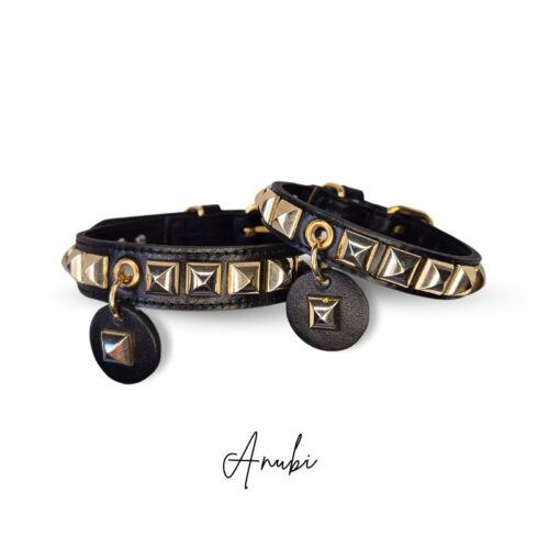 black and gold dog collar