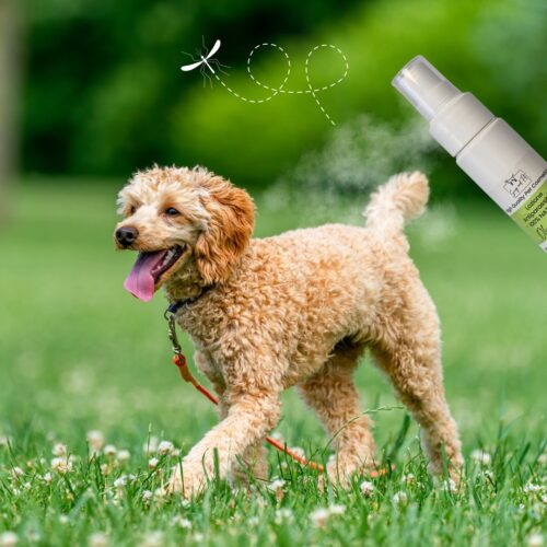 Olio di Neem per cani e gatti Spray