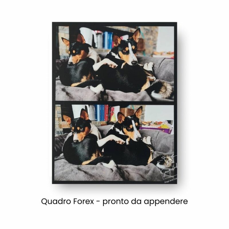 quadro pronto da appendere